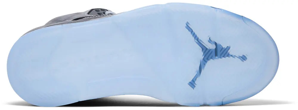 Air Jordan 5 Retro &