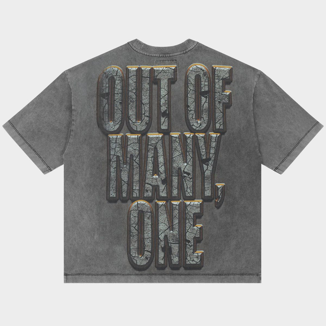 Liberty Ruins Tee (Grey)