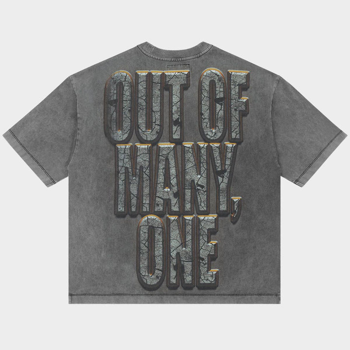 Liberty Ruins Tee (Grey)